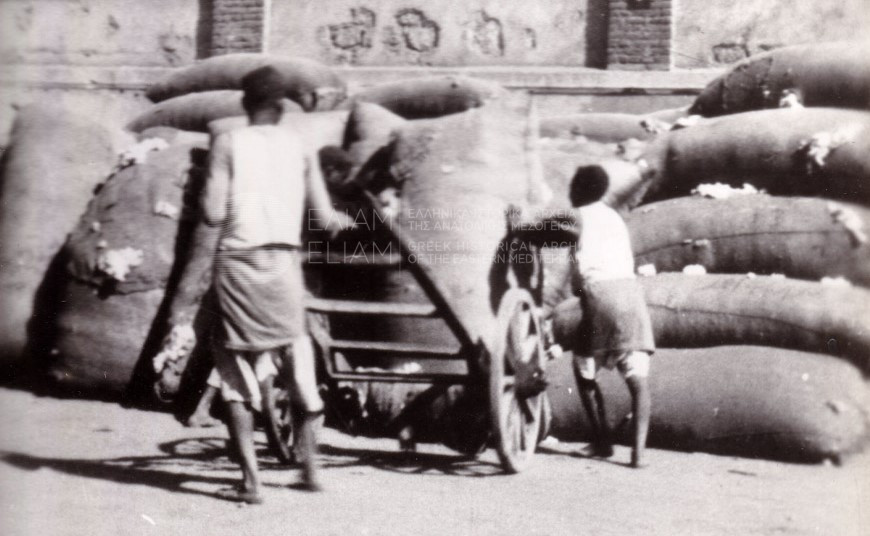 Employees of the Vassilopoulos Frères & Co cotton ginning mill