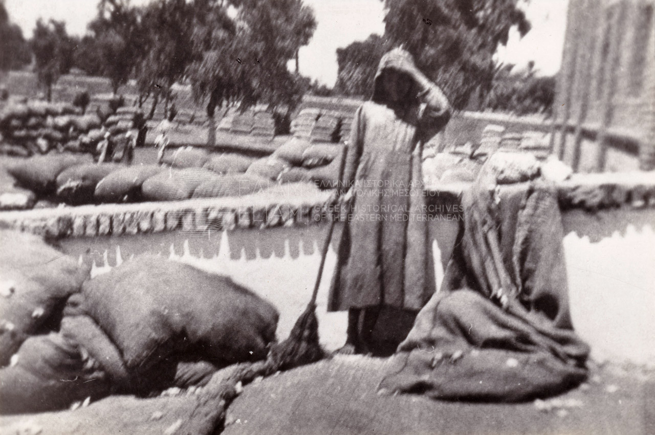 Employee of the Vassilopoulo Frères & Co cotton ginning mill