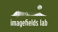 IFL LOGOTYPE-02